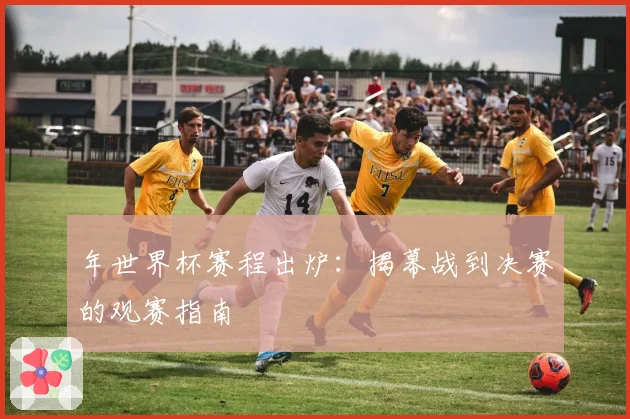 年世界杯赛程出炉：揭幕战到决赛的观赛指南