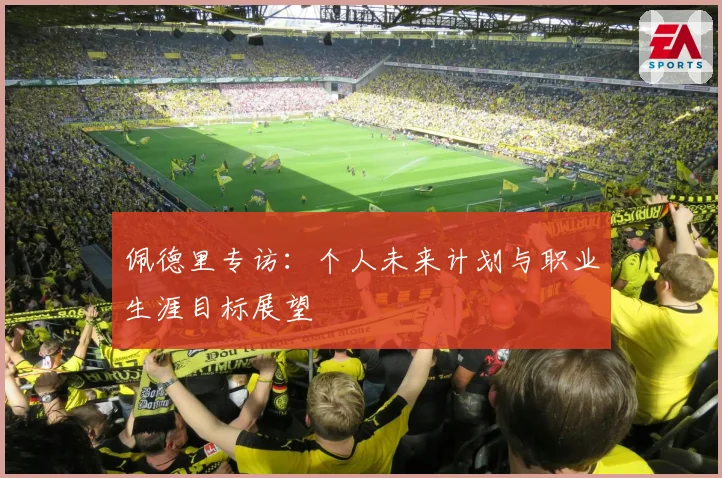 佩德里专访：个人未来计划与职业生涯目标展望