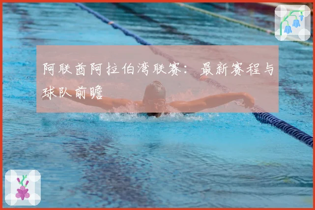 阿联酋阿拉伯湾联赛：最新赛程与球队前瞻